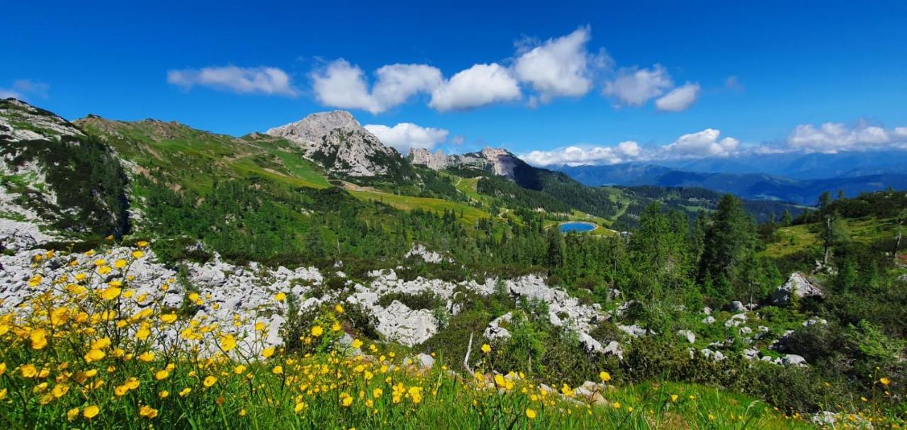 Apartamento Almhaus Nassfeld Sonnenalpe Nassfeld Exterior foto