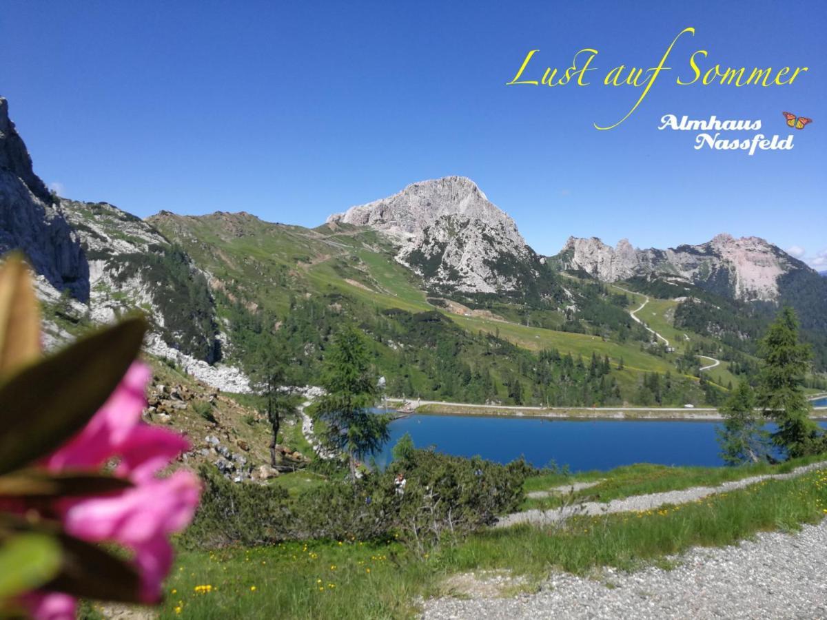 Apartamento Almhaus Nassfeld Sonnenalpe Nassfeld Exterior foto