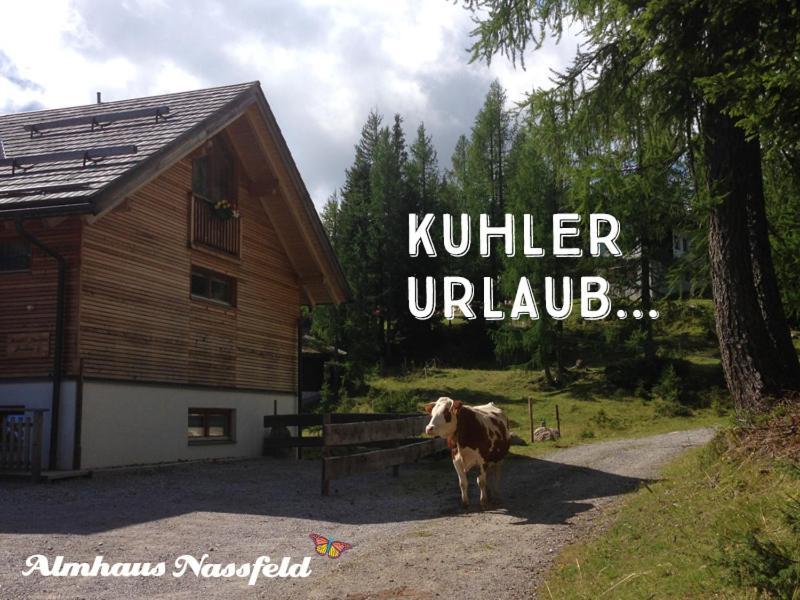 Apartamento Almhaus Nassfeld Sonnenalpe Nassfeld Exterior foto